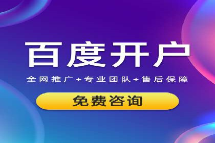 案例分析：SEM托管服务助力电商销量倍增