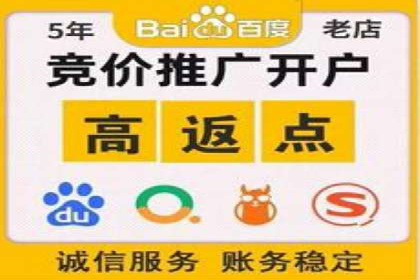 SEM推广案例：品牌知名度提升